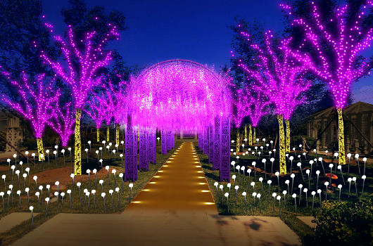 202205174897.jpg 1603358591431766.jpg