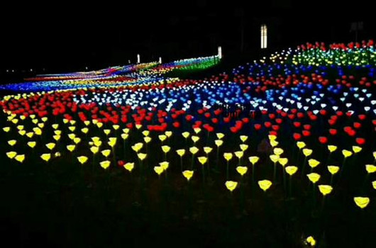 202205181759.jpg 1607409277514205.jpg