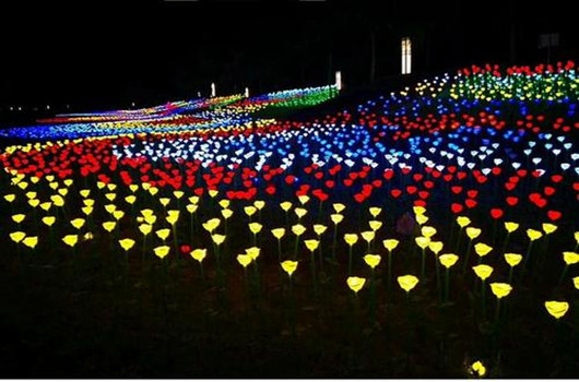 202205184055.jpg 1607572866439038.jpg