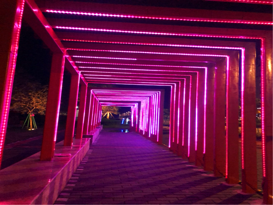 202205191960.png 1604562530128074.png