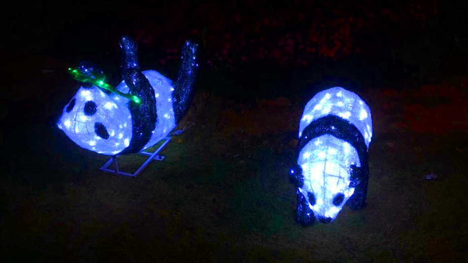 202205192691.png 1604645649492879.png