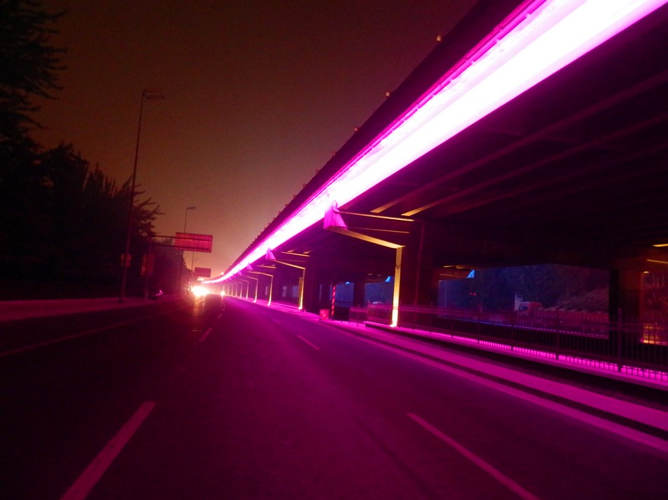 202205198281.jpg 1604734644969917.jpg